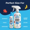 image:imageMiss Mouths Messy Eater Stain Treater Spray Laundry Stain Remover 4 Oz2 Pack 16oz