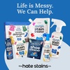 image:imageMiss Mouths Messy Eater Stain Treater Spray  4oz 3 Pack Stain Remover and Laundry Detergent Sheets 30 Pack